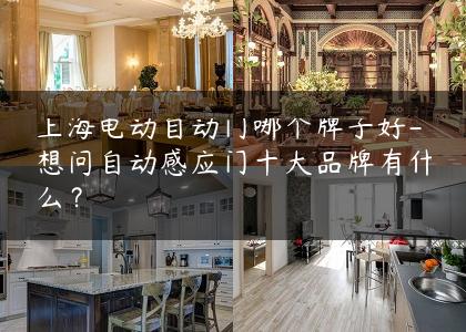 上海电动自动门哪个牌子好-想问自动感应门十大品牌有什么？